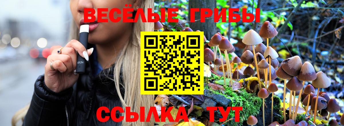 Псилоцибиновые грибы Magic Shrooms Великие Луки